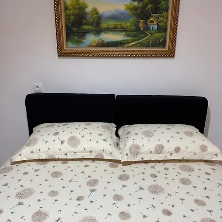 Family Apartment, Apartment